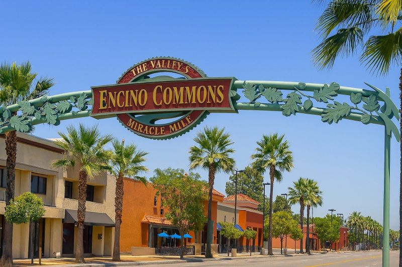 Local Driveway Gate Installation in Encino, CA