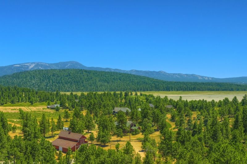 Local Driveway Gate Installation in Big Bear City, CA