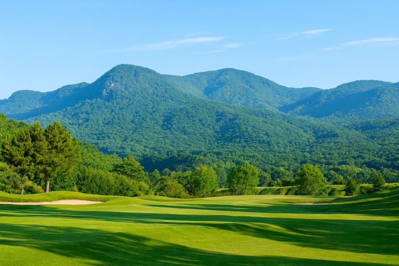 Local Electric Gate Installation in Beaumont, CA